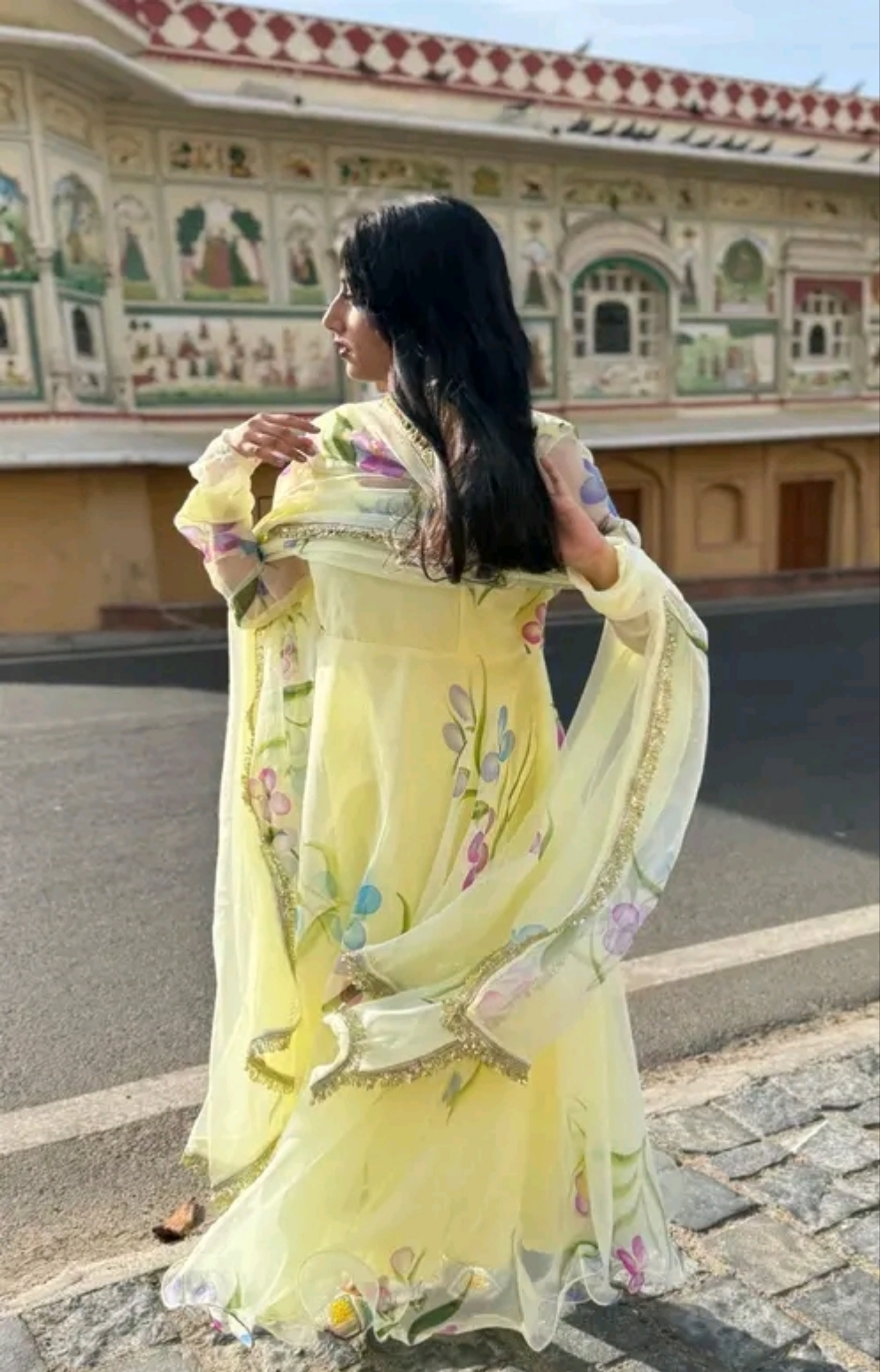 Ibadat floral Handpainted Anarkali